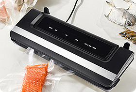 vacuum sealer